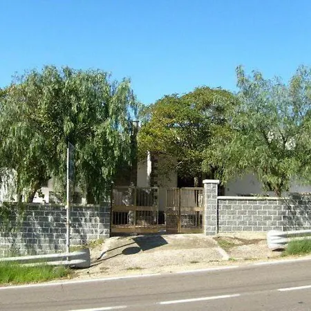 In توري فادو